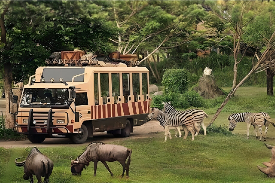 Safari tour bus surrounded by zebras and antelopes at Dubai Safari Park, offering a close-up wildlife experience in a lush green environment.