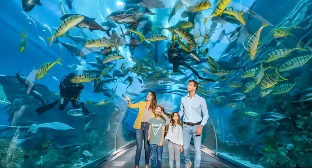 Mall Aquarium Ticket