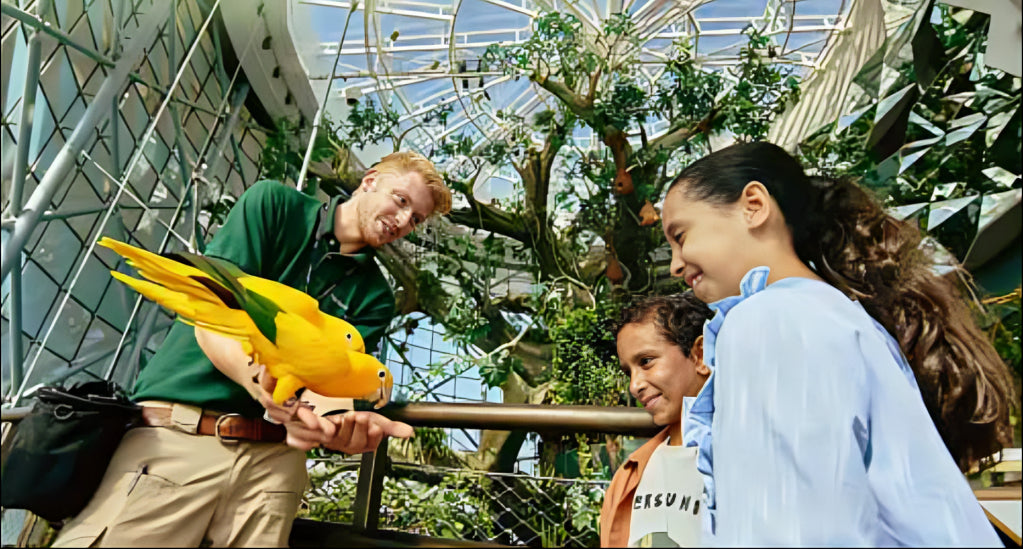 the green planet dubai