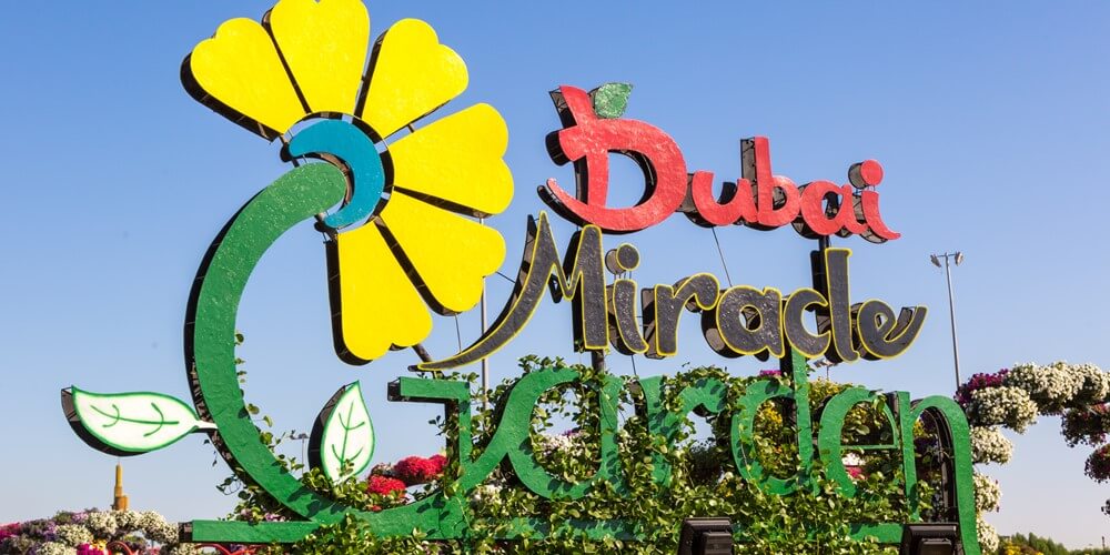 Colorful entrance sign of Dubai Miracle Garden with a large yellow flower design and vibrant greenery, set against a clear blue sky.