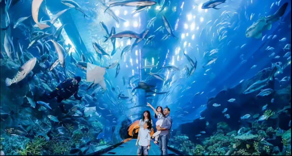 Dubai Mall Aquarium Penguin Cove
